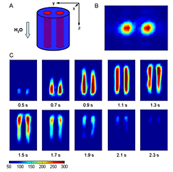 This volume of water was imaged using an MRI technology based on optical atomic magnetometry. It was developed under the leadership of Berkeley Lab scientists Alexander Pines and Dmitry Budker.
