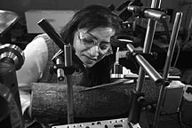 Madhavi Martin subjects a chunk of wood to laser-induced breakdown spectroscopy.