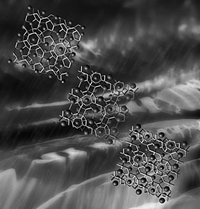 A better molecular-level understanding of gas hydrate structure could open the way to an important new energy source.