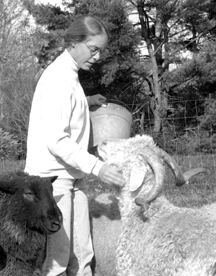 Carol Wood surrounded by some of her sources of wool.
