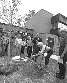 Liane Russell tosses a shovelful of dirt around the oak tree at the new Mouse House as Dabney Johnson (right), Reinhold Mann and others look on.