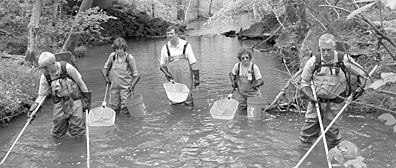 As Lab director, Jeff Wadsworth (center) conducted a series of visits, or walkarounds, to various labs and work areas. In this case it was a wadearound, as he joined a crew sampling wildlife in Bear Creek.